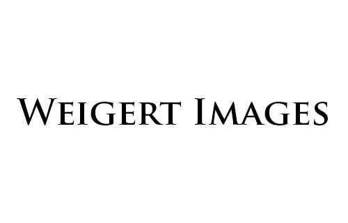 Weigert Images - esküvői szolgáltató