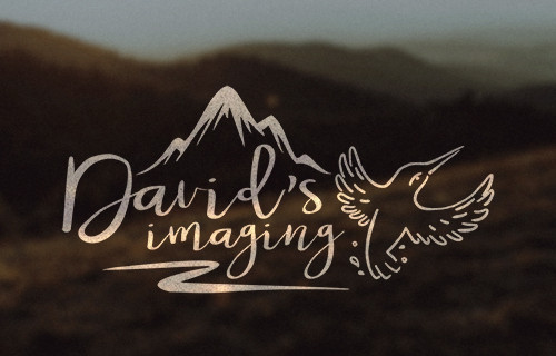 David's imaging David's imaging - esküvői szolgáltató