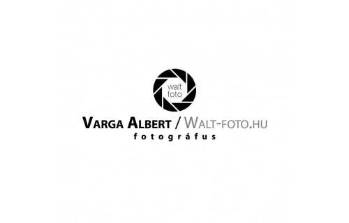 W A L T - F O T O / Varga Albert Fotográfus - esküvői szolgáltató