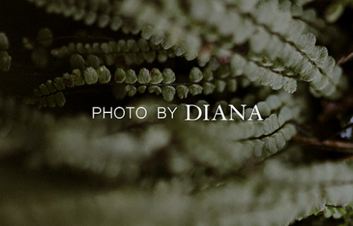 Photo by Diana Photo by Diana - esküvői szolgáltató