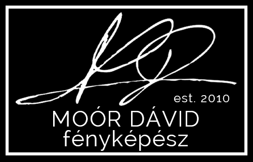 Moór Dávid - esküvői szolgáltató