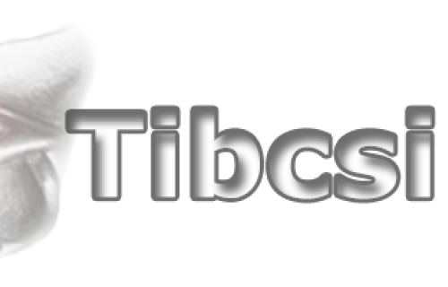 Tibcsifoto Tibcsifoto - esküvői szolgáltató