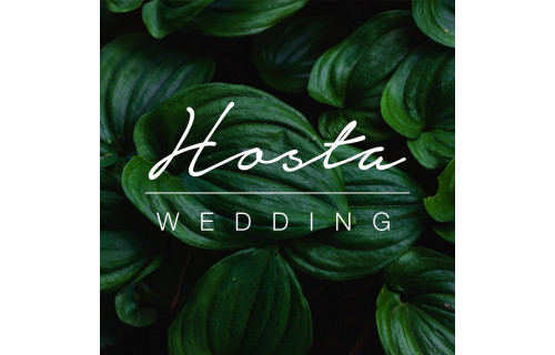 Hosta Wedding - esküvői szolgáltató