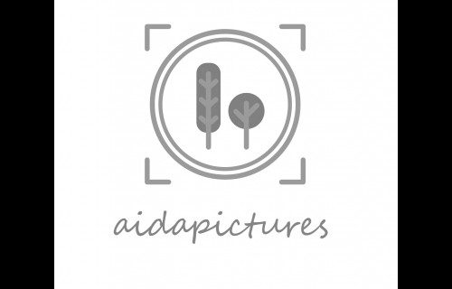 Aidapictures Aidapictures - esküvői szolgáltató