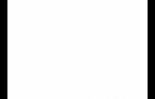 dormanyphoto dormanyphoto - esküvői szolgáltató