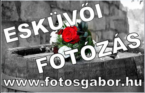 Kasza Gábor - esküvői szolgáltató